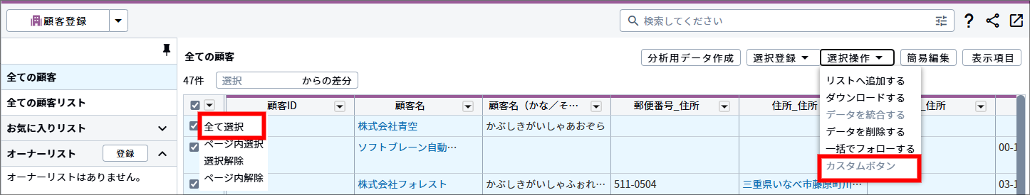 顧客一覧画面_ローカルツール_選択操作_カスタムボタン_すべて選択